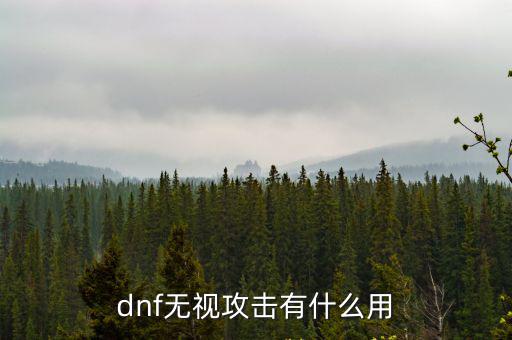 dnf无视攻击有什么用