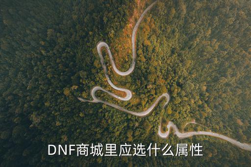 DNF商城里应选什么属性