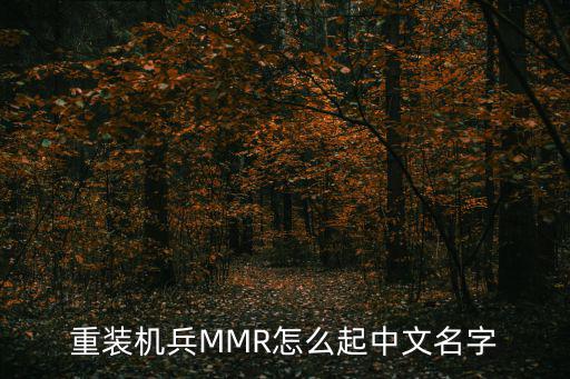 重装机兵MMR怎么起中文名字