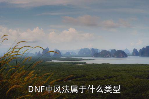 DNF中风法属于什么类型