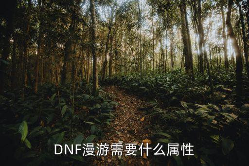 DNF漫游需要什么属性