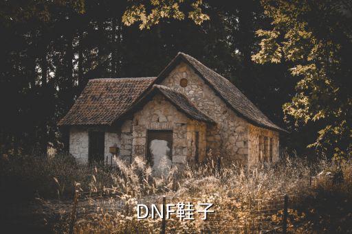 DNF鞋子