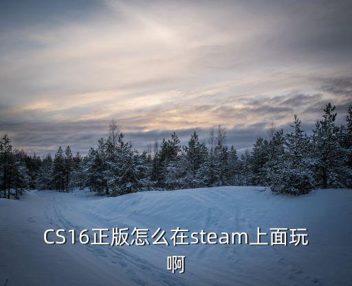 CS16正版怎么在steam上面玩啊