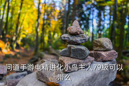 问道手游精英头领79级怎么打，问道手游电精进化小鸟主人79级可以带么