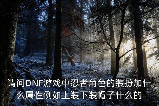 请问DNF游戏中忍者角色的装扮加什么属性例如上装下装帽子什么的