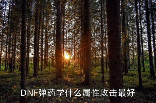 DNF弹药学什么属性攻击最好