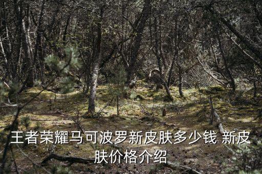 王者荣耀马可波罗新皮肤多少钱 新皮肤价格介绍