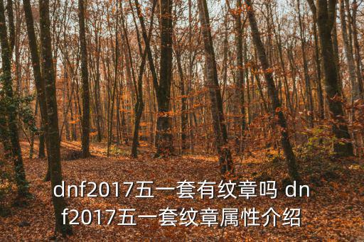 dnf2017走什么属性，DNF 下个版本 走什么属性好