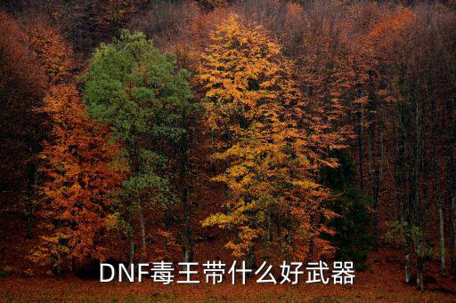 dnf毒王带什么属性武器，DNF毒王带什么好武器