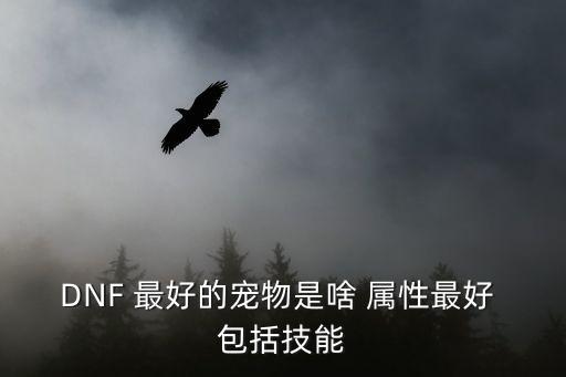 dnf什么宠物带属性强化，DNF 最好的宠物是啥 属性最好 包括技能