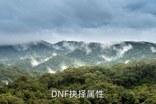 DNF抉择属性