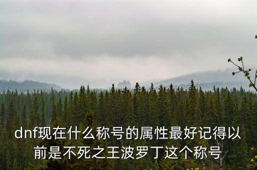 dnf当前版本什么属性号，dnf现在什么称号的属性最好记得以前是不死之王波罗丁这个称号