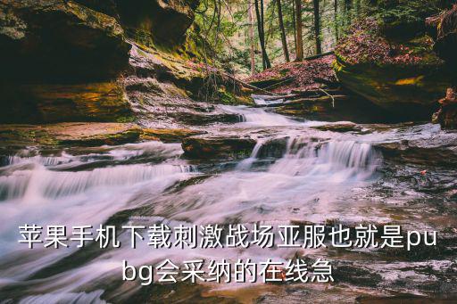 苹果手机下载刺激战场亚服也就是pubg会采纳的在线急