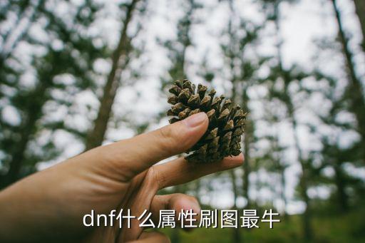 dnf刷图用什么属性，DNF战斗刷图加什么属性实用