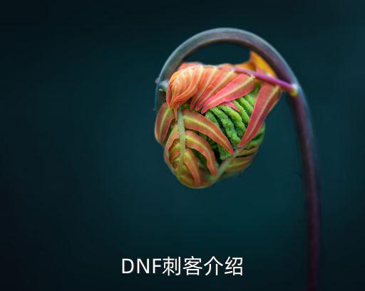 DNF刺客介绍