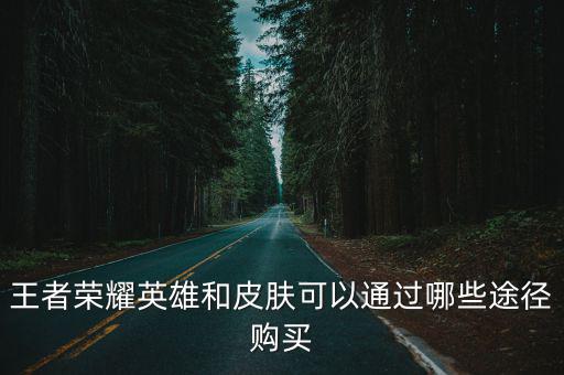 王者荣耀英雄和皮肤可以通过哪些途径购买