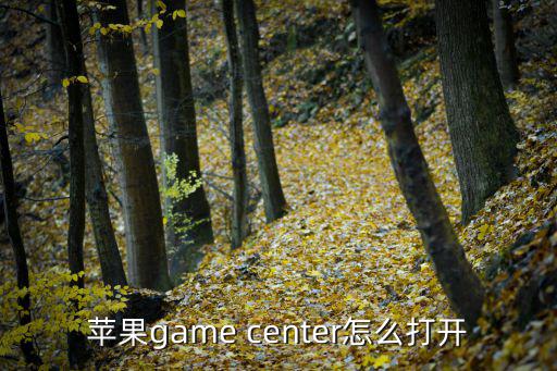 苹果game center怎么打开