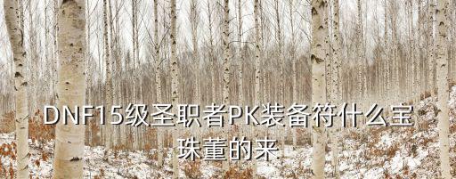 dnf圣职者什么宝珠属性，DNF15级圣职者PK装备符什么宝珠董的来