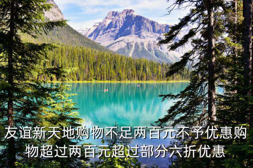 友谊新天地购物不足两百元不予优惠购物超过两百元超过部分六折优惠