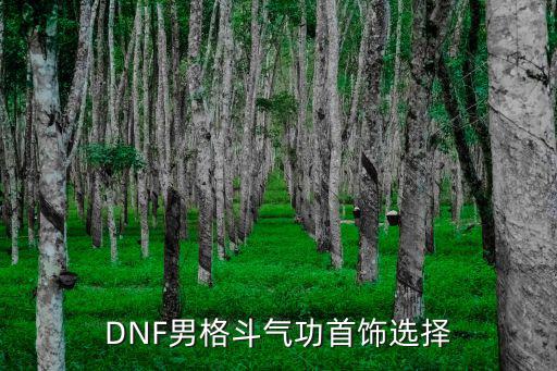 DNF男格斗气功首饰选择