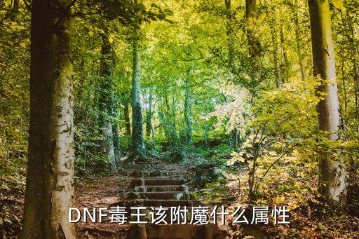 DNF毒王该附魔什么属性