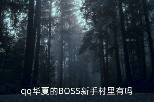 qq华夏的BOSS新手村里有吗