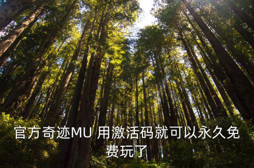 官方奇迹MU 用激活码就可以永久免费玩了