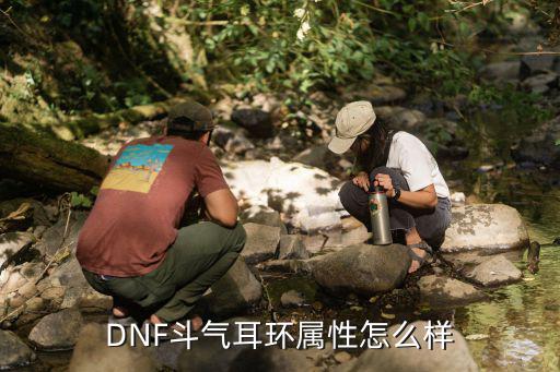 dnf斗气耳环要什么属性，DNF斗气耳环属性怎么样