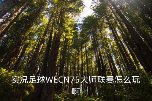 实况足球WECN75大师联赛怎么玩啊