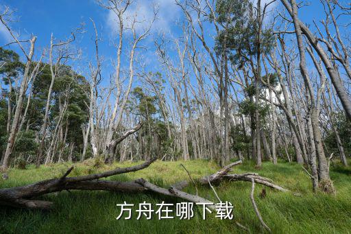 方舟手游双人模式怎么下载，方舟生存进化正版的在这个界面怎么多人游戏