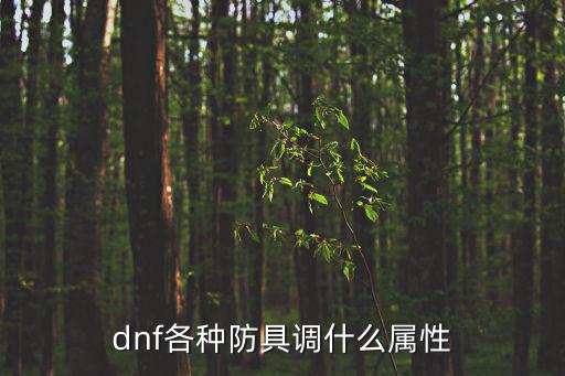 DNF锻造防具加什么属性，dnf各种防具调什么属性