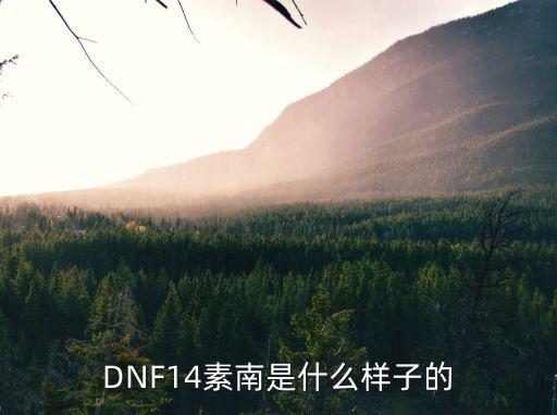 DNF14素南是什么样子的