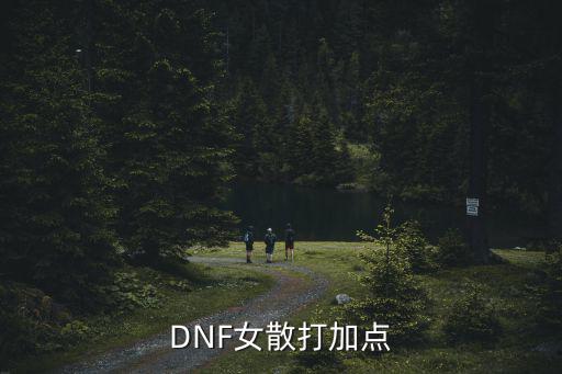 dnf女散打加什么属性，dnf女散打刷图加点我要高手来