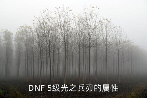 DNF 5级光之兵刃的属性