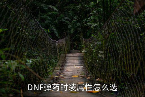 DNF弹药时装属性怎么选