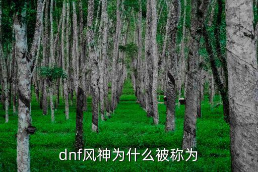 dnf风神技能是什么属性，dnf风神525改版技能怎么加 风神风法师90级5月25日改版分析讲解  搜