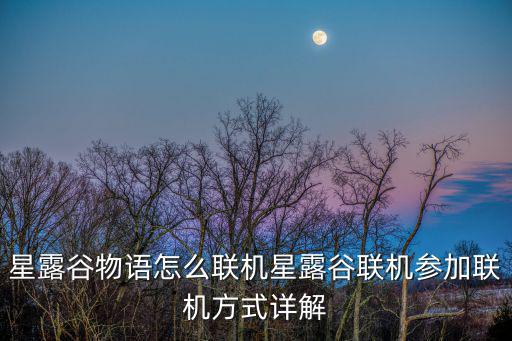 星露谷物语怎么联机星露谷联机参加联机方式详解