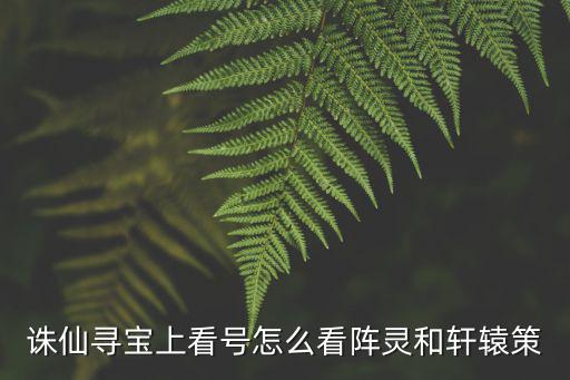 诛仙寻宝上看号怎么看阵灵和轩辕策