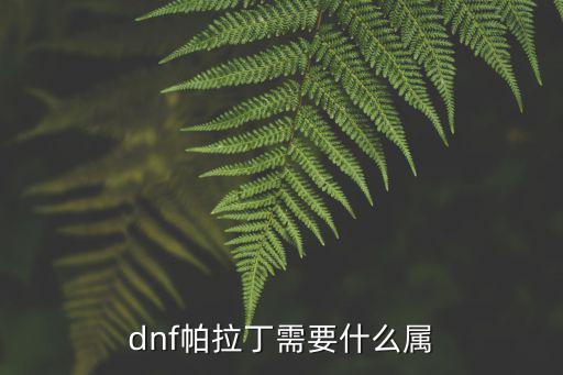 dnf帕拉丁需要什么属