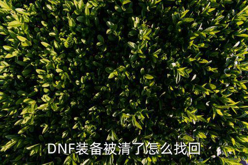 DNF装备被清了怎么找回