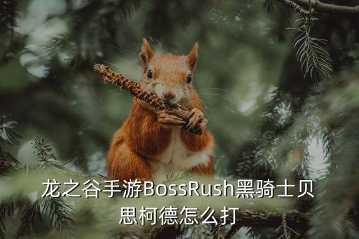 龙之谷手游黑骑士贝思柯德怎么打，龙之谷手游BossRush黑骑士贝思柯德怎么打