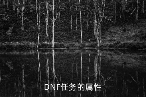 DNF任务的属性