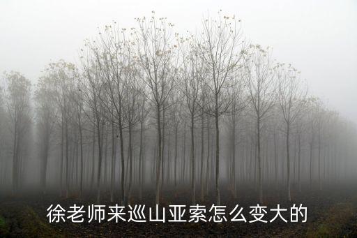 徐老师来巡山亚索怎么变大的