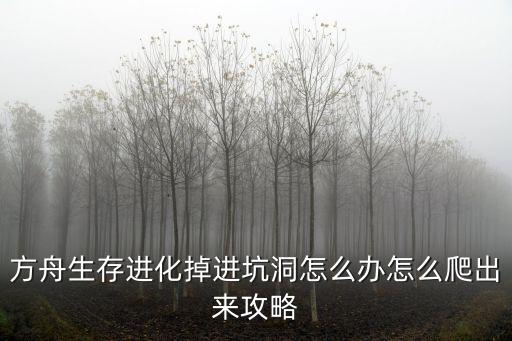 方舟手游神奇智慧矿洞怎么走，挖矿多少级才能看做矿的坐标