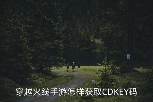 穿越火线手游怎样获取CDKEY码