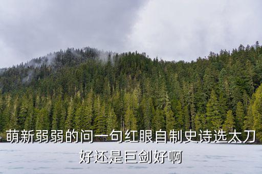 萌新弱弱的问一句红眼自制史诗选太刀好还是巨剑好啊