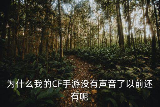 为什么我的CF手游没有声音了以前还有呢