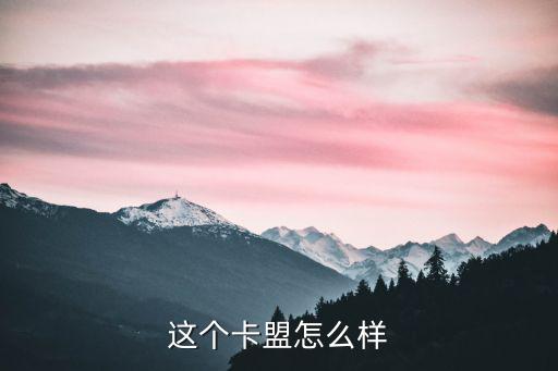 这个卡盟怎么样