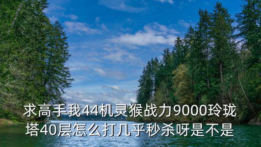 求高手我44机灵猴战力9000玲珑塔40层怎么打几乎秒杀呀是不是