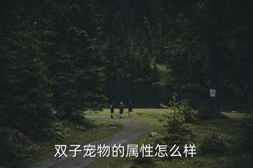 双子宠物的属性怎么样